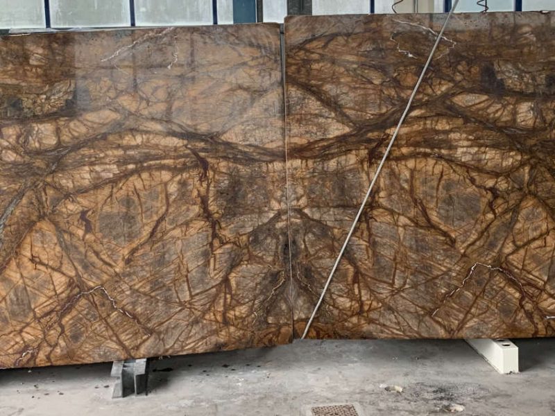 FOREST BROWN