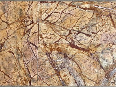 MARMETTE FOREST BROWN