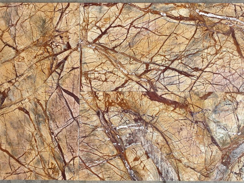 MARMETTE FOREST BROWN
