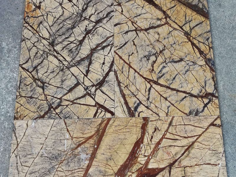 MARMETTE FOREST BROWN