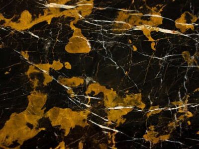 Black and Gold / Michaelangelo