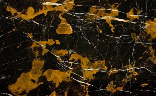 Black and Gold / Michaelangelo
