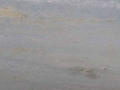Lastre di marmo PINTA VERDE