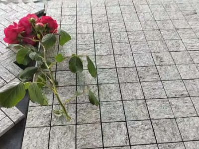Mosaico su rete